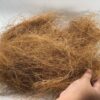 Coconut Fiber