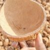 Raw Coconut Shell