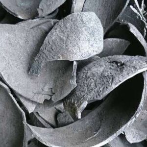 Coconut Shell Charcoal